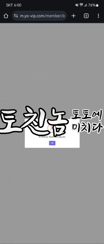 요요벳2.png