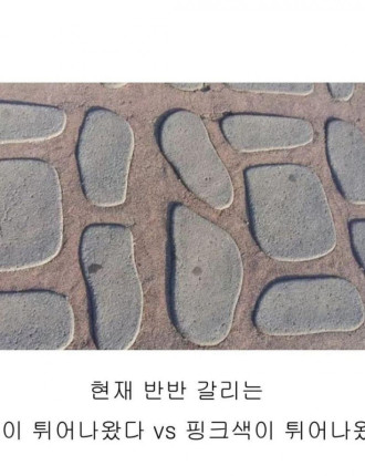 현재 반반 갈리는 논란