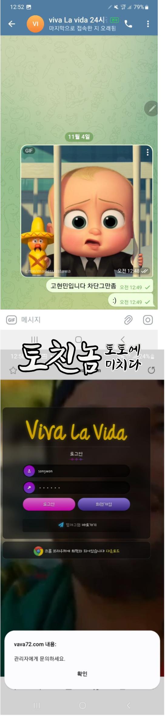 비바라디바 (비바).png